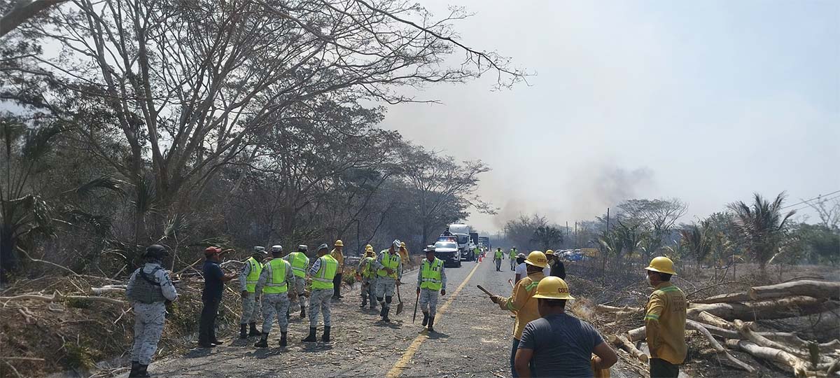 Atiende Coesfo Tres Incendios Forestales En Distintas Regiones De Oaxaca