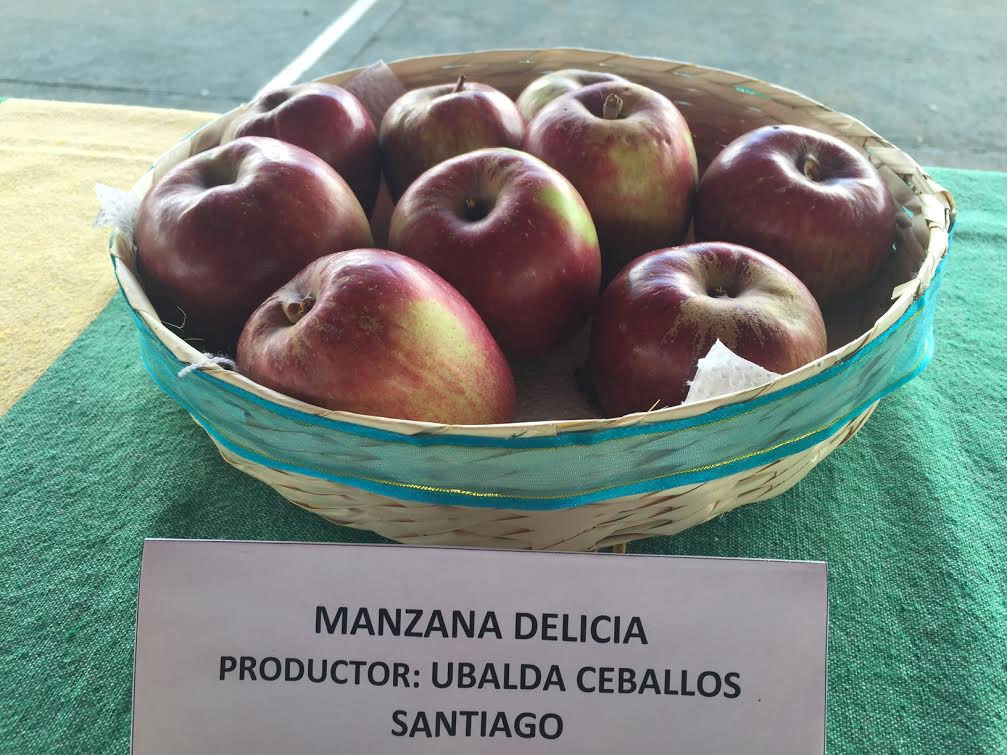 manzanas7