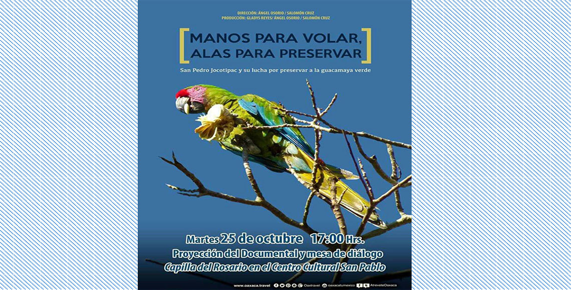 Manos para volar, alas para preservar; documental de la ... - Quadratín Oaxaca