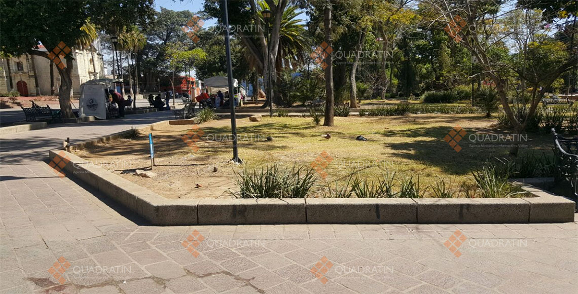 El Llano, un parque deteriorado en el corazón de Oaxaca