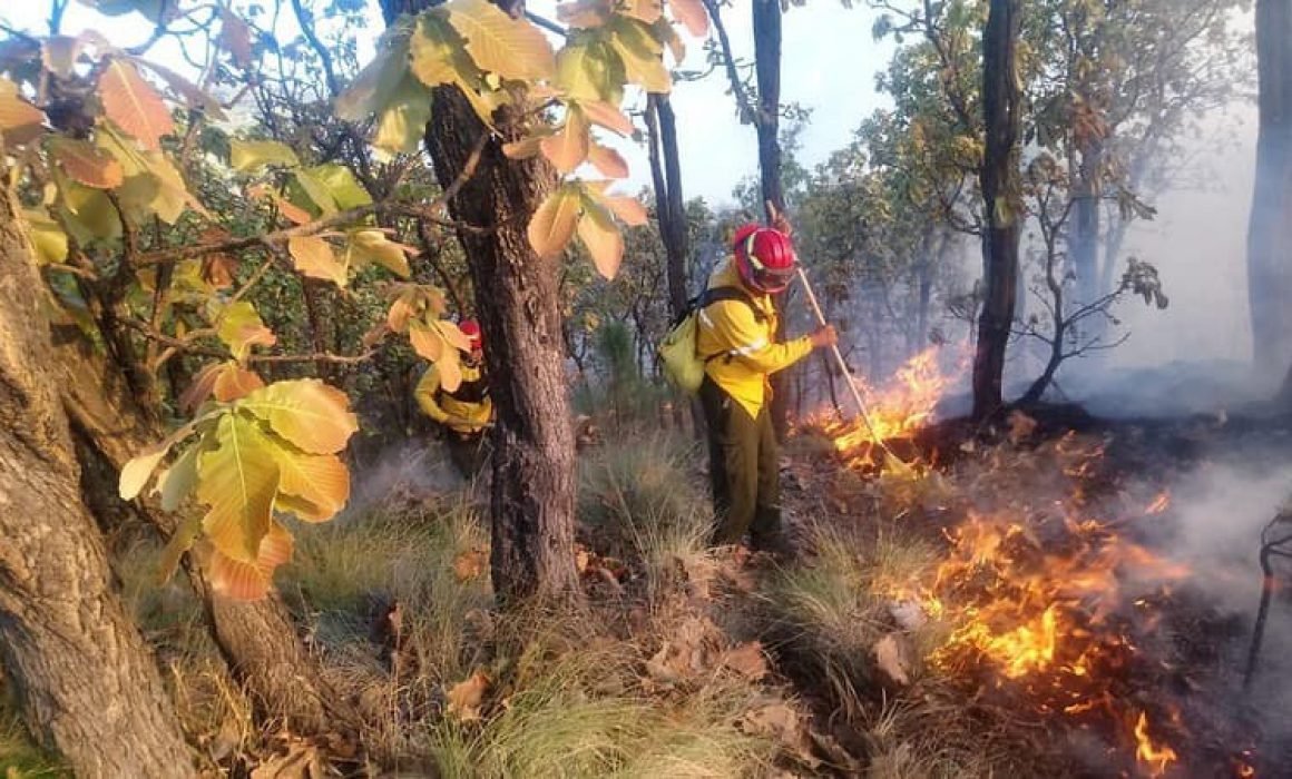 Reporta Conafor 31 Incendios Activos En México 6327