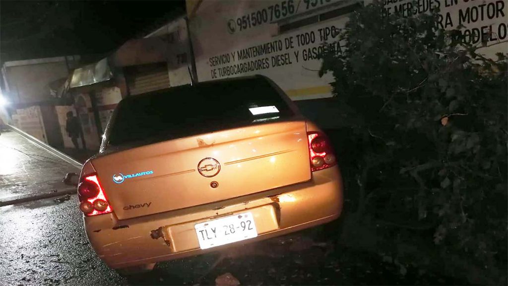 Ebrio chocó taxi y se atoró en una bugambilia cuando huía