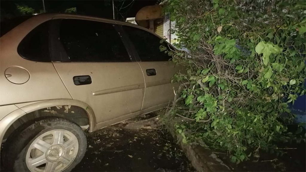 Ebrio chocó taxi y se atoró en una bugambilia cuando huía