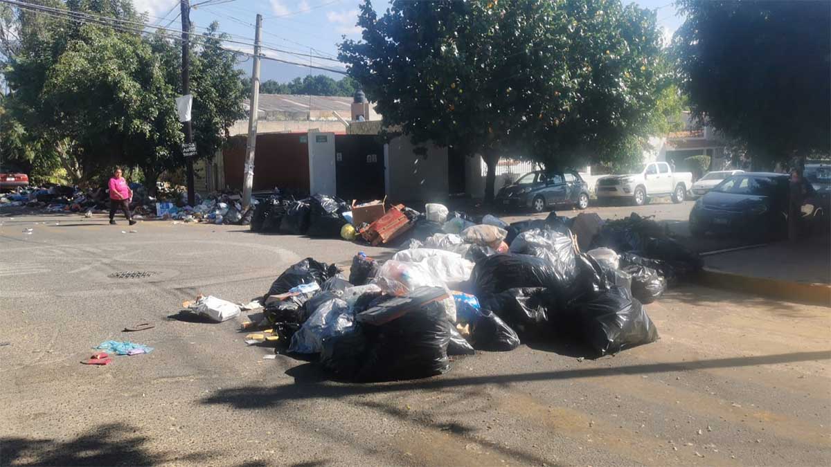 Reclaman vecinos retiro de basura en la colonia Reforma - Quadratín