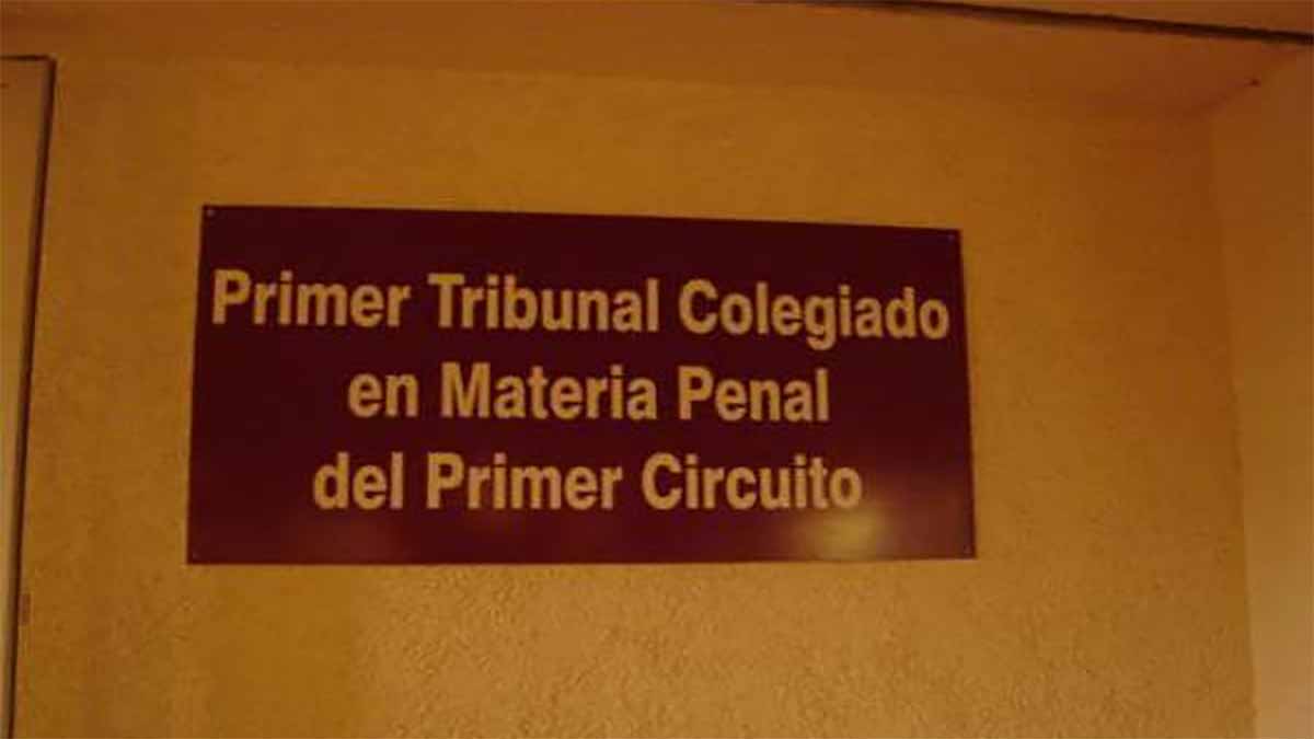 Excesos De Tribunal Colegiado De Apelación