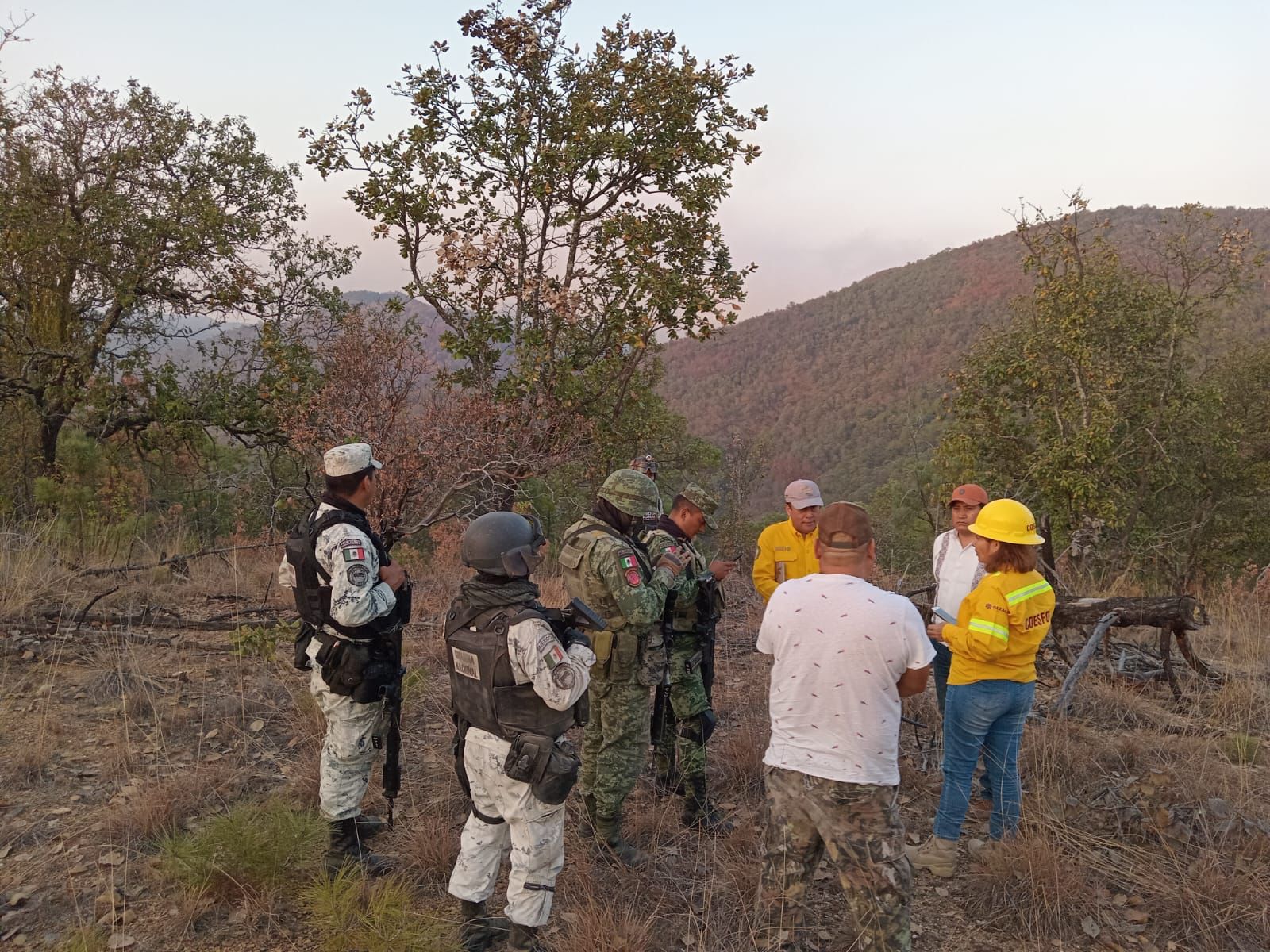 Controlan un frente del incendio forestal en San Juan Mixtepec - Quadratín