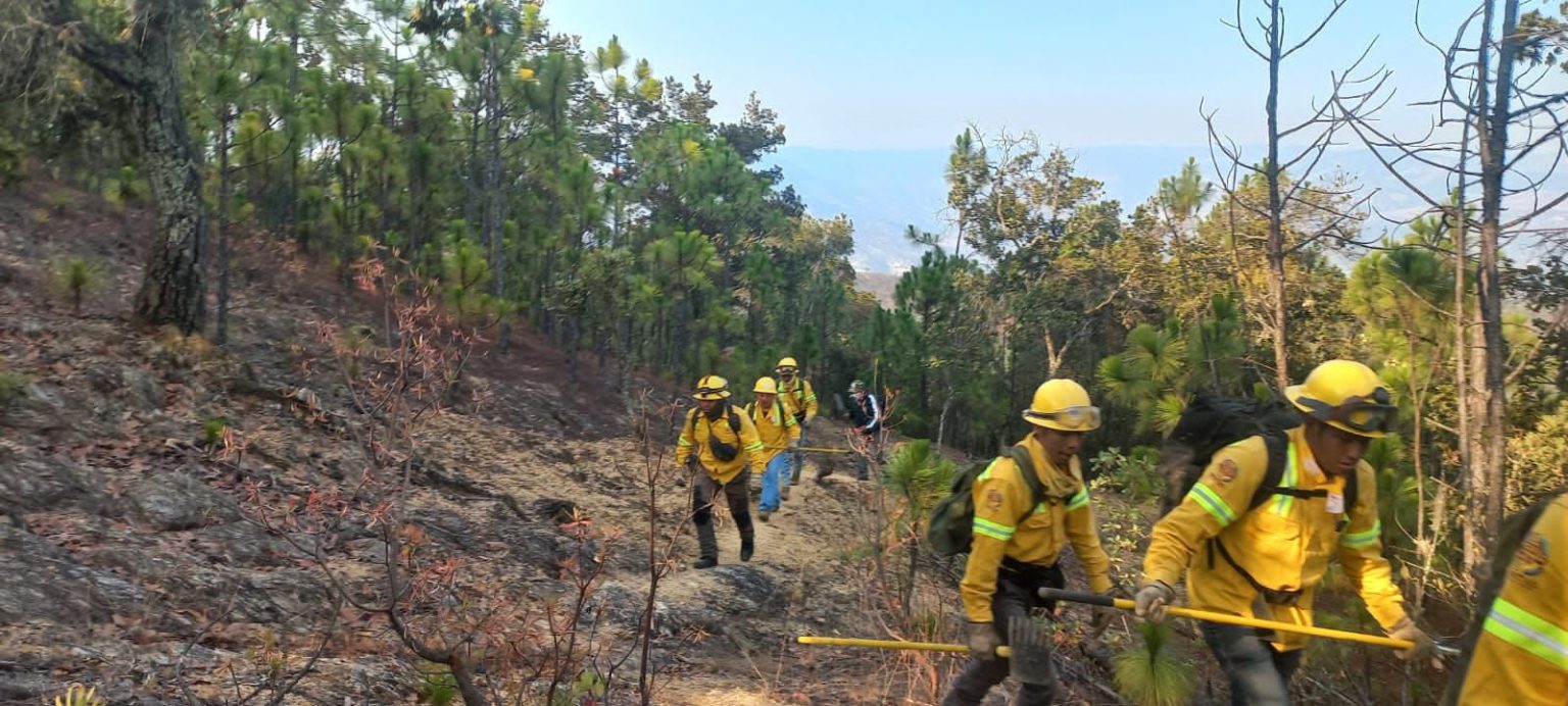 Controlan un frente del incendio forestal en San Juan Mixtepec - Quadratín