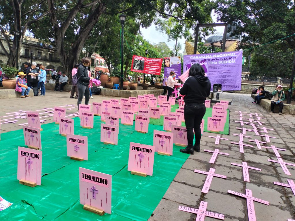 Muertes De Mujeres Deben Investigarse Como Feminicidios Incluso Suicidio 6900