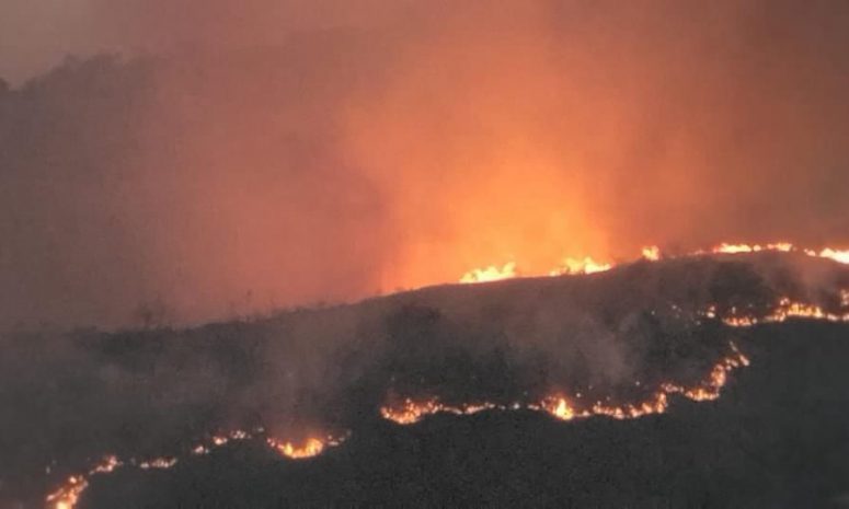 Informa Coesfo que incendio en Cuilápam está extinguido al 100%