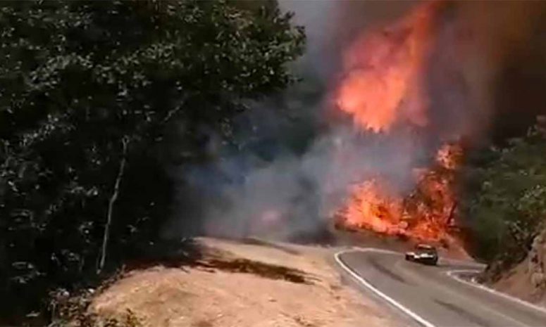 Incendios forestales han consumido 1,500 hectáreas en Oaxaca