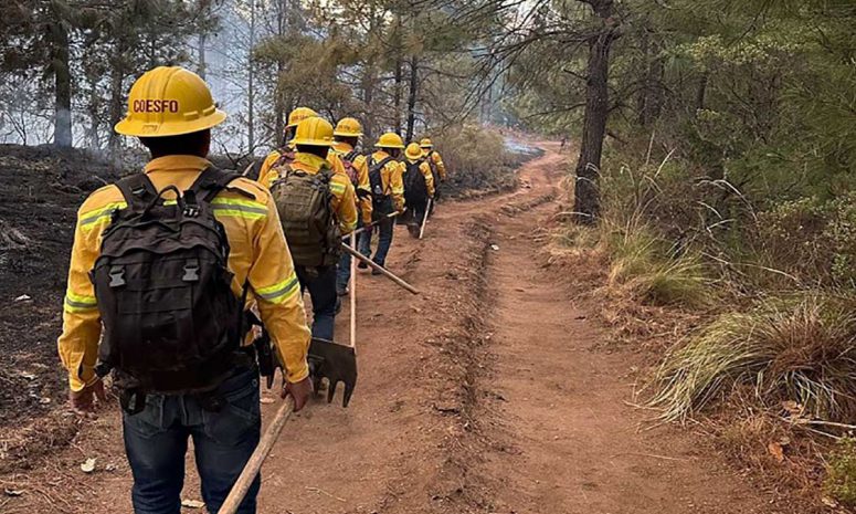 Atienden Coesfo y Conafor 11 incendios forestales en Oaxaca