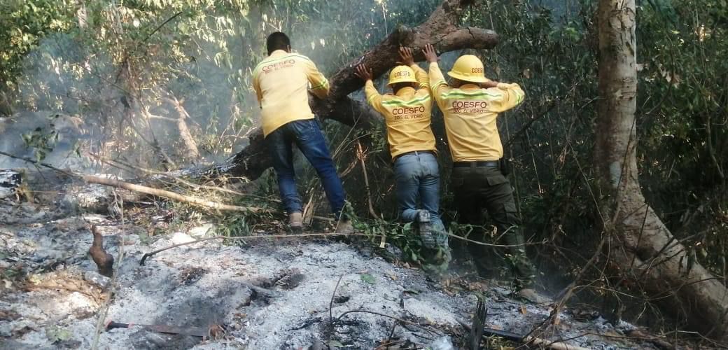 Liquida Coesfo incendio forestal en Santos Reyes Nopala y San Gabriel ...