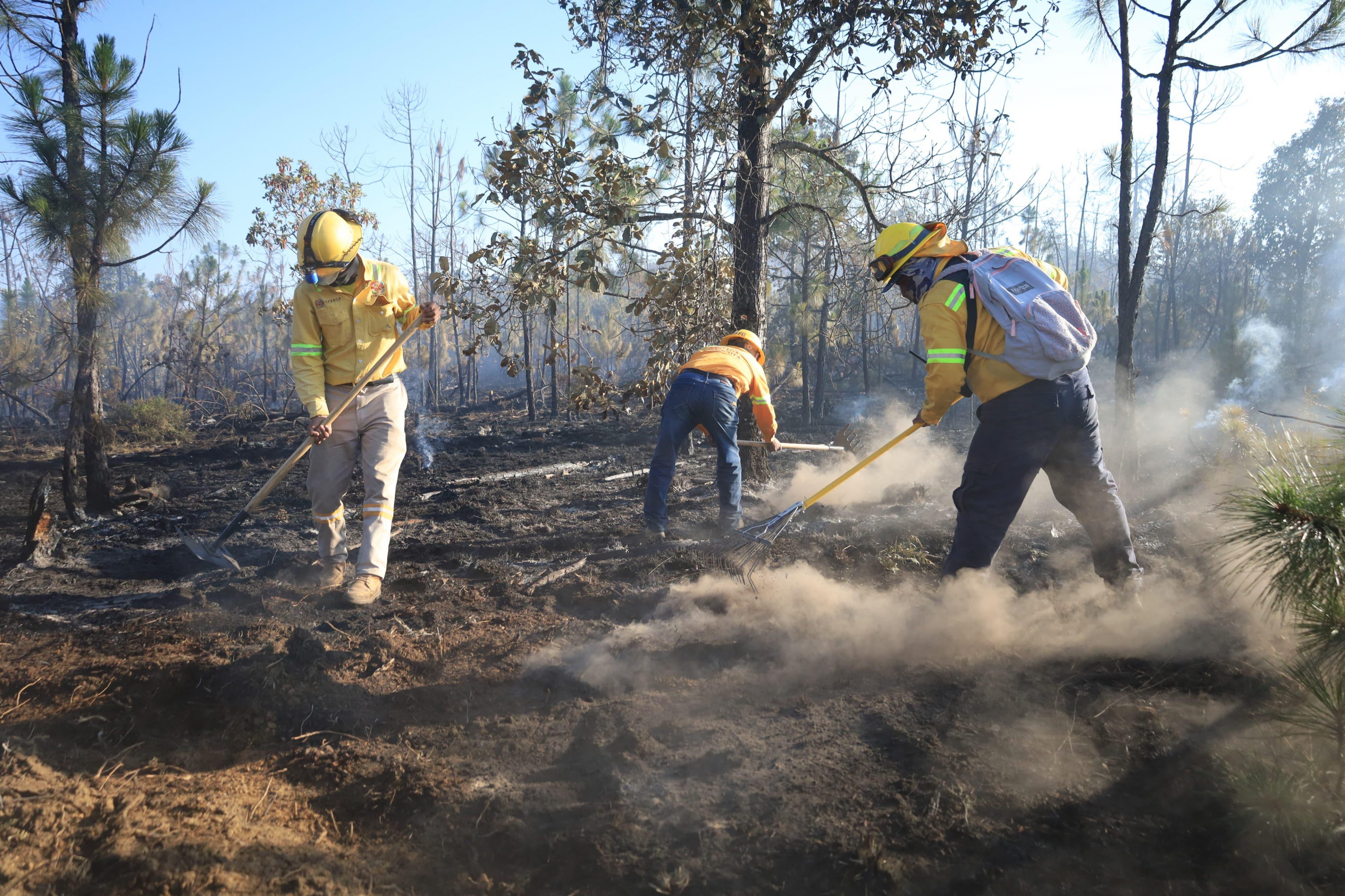 Liquida Coesfo incendio forestal en San Juan Mixtepec - Quadratín