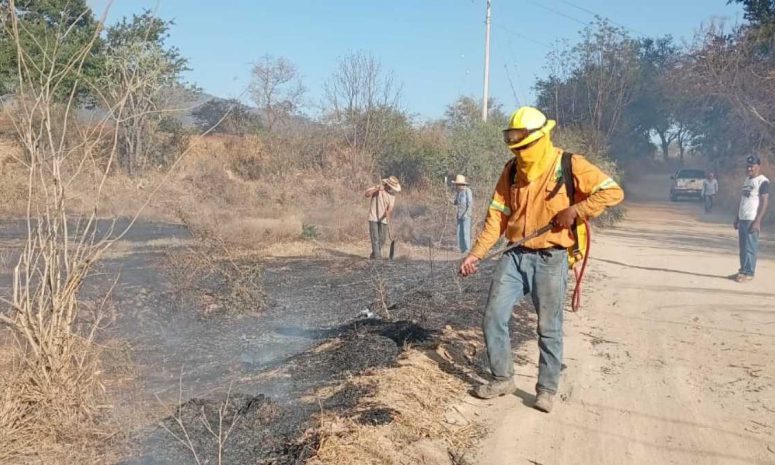 Atiende Coesfo incendios forestales en Huautla y Ejutla