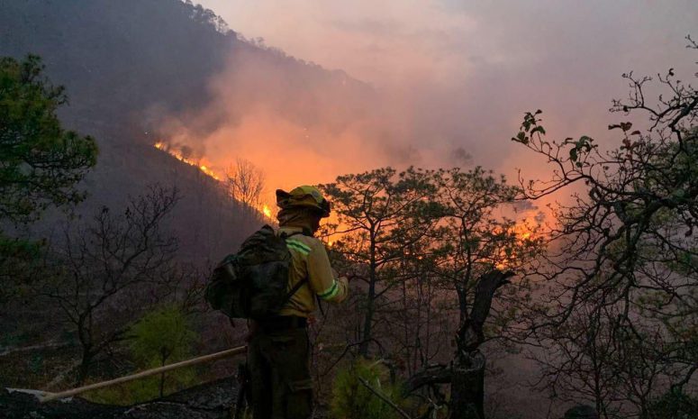 Atiende Coesfo incendio en límites de Santiago Minas y Juquila