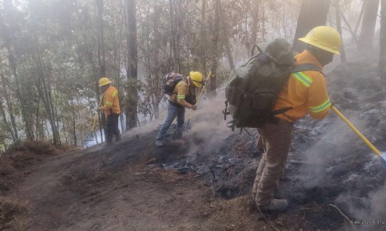 Controlan al 95% incendio forestal en Santa Catarina Juquila