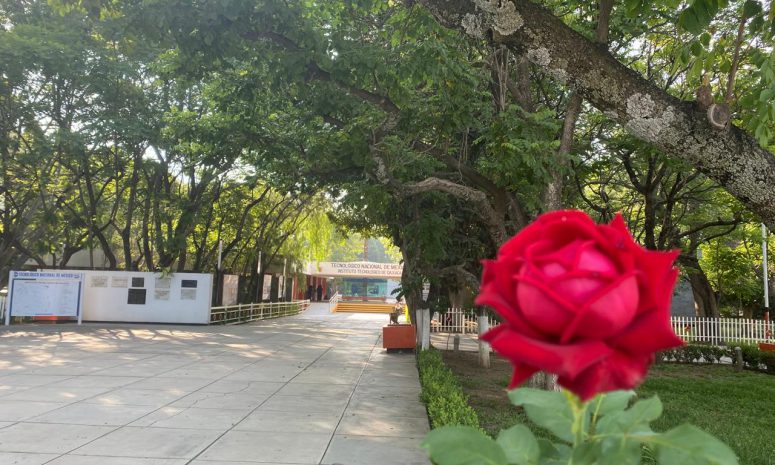 Conmemora Tecnológico de Oaxaca 57 años de formación académica