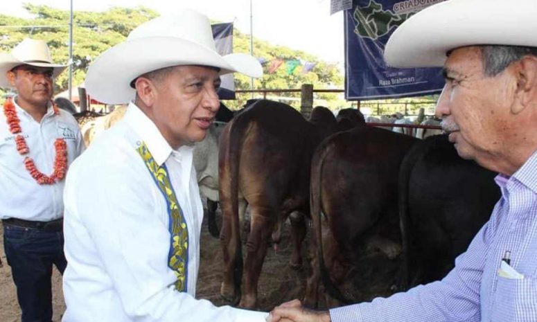 Oaxaca, en alerta por posible segundo caso de gusano barrenador
