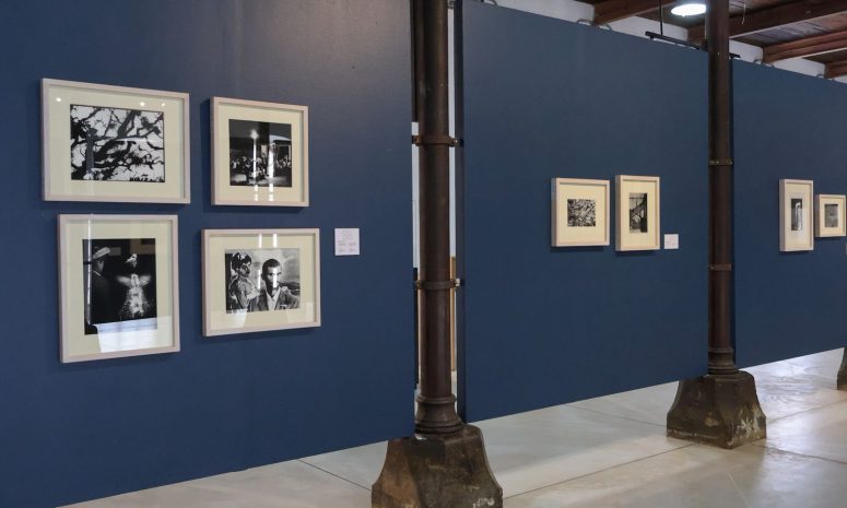 Abren en el CaSa exposición Lu’ Biaani: Francisco Toledo y la fotografía