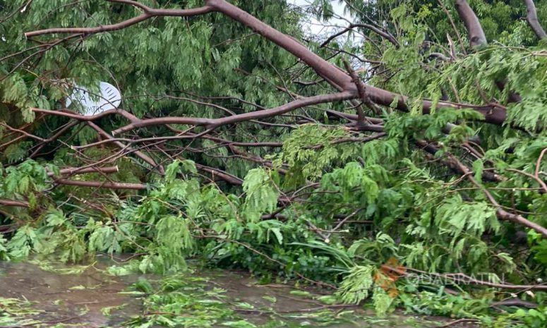 Se degrada Huracán Erick a categoría 1 pero siguen lluvias en Oaxaca