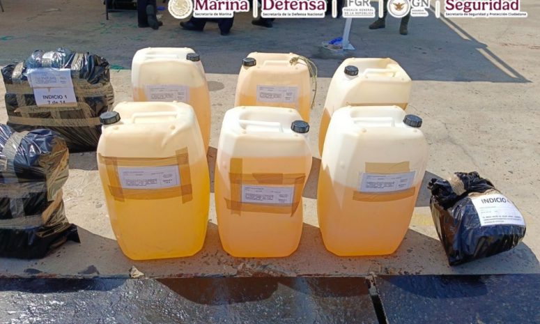 Asegura Marina media tonelada de cocaína en Oaxaca