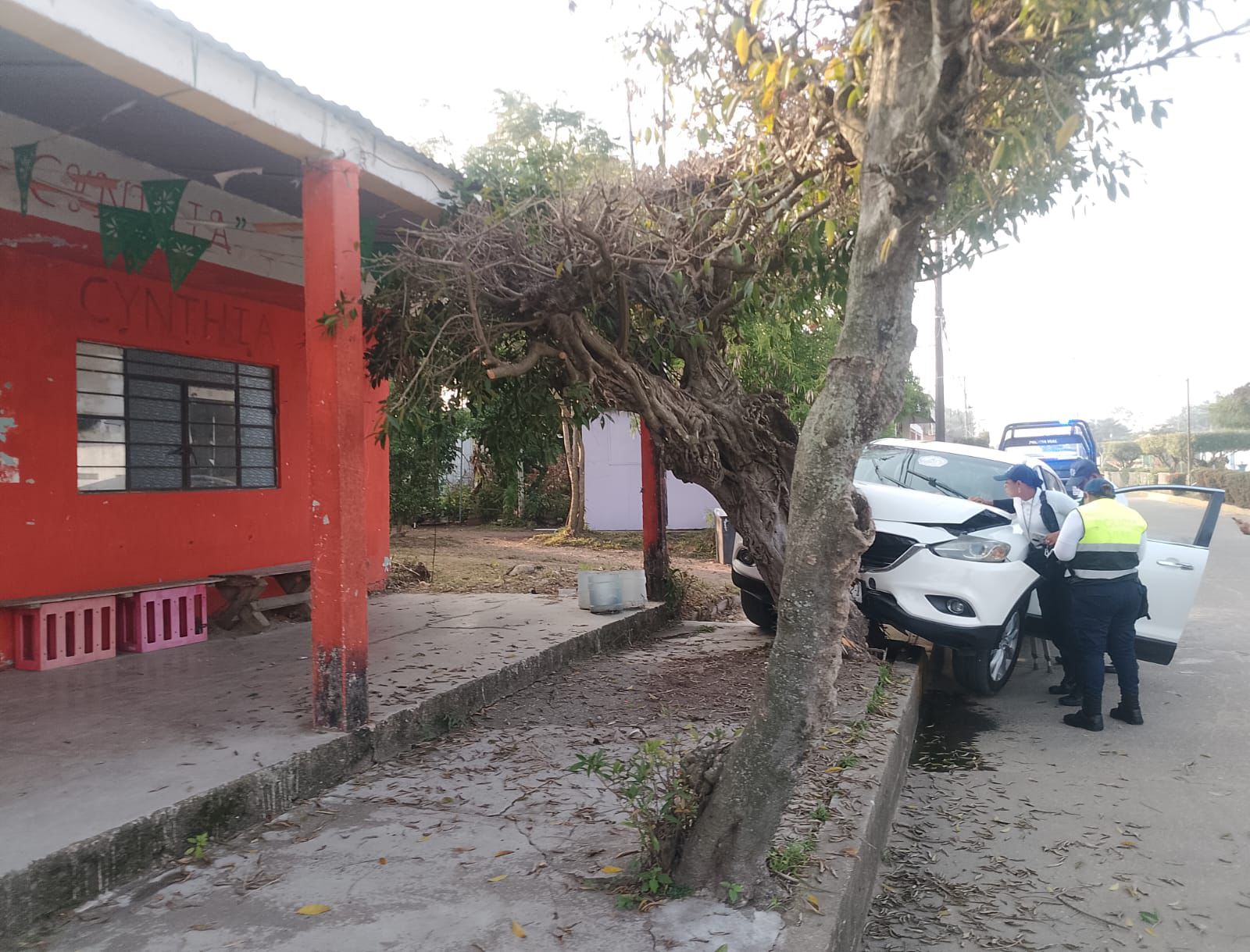 Choca camioneta contra árbol en Loma Bonita - Quadratín