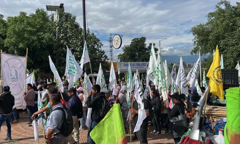 Marchan en Oaxaca a 16 años del asesinato de Catarino Torres