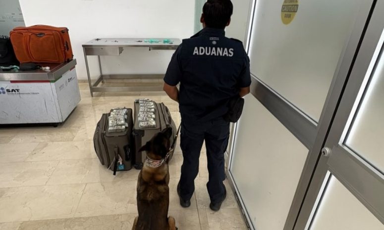 Aseguran más de 365 mil dólares a pasajero en aeropuerto de Oaxaca
