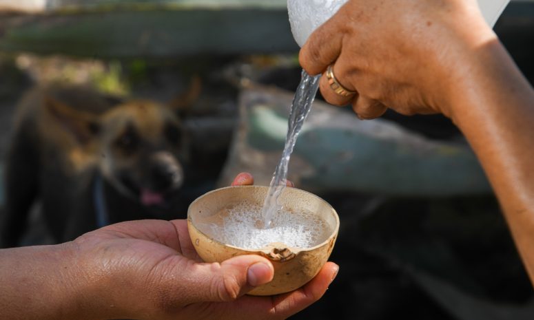 Concentra Oaxaca casi 90 % de la producción nacional de mezcal