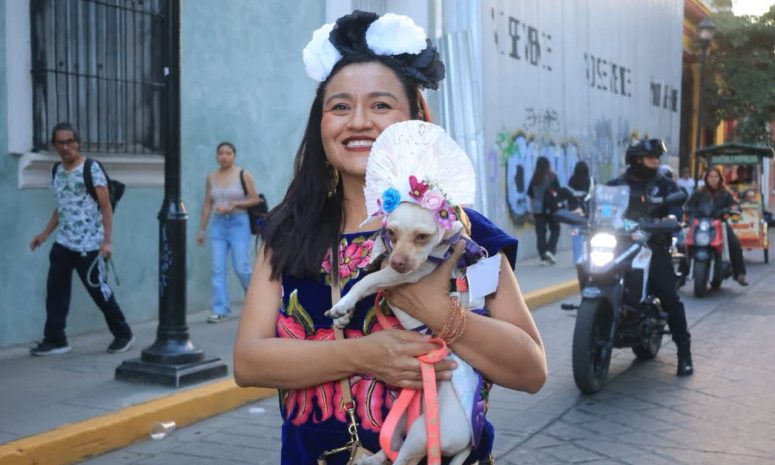 Desfilan perros disfrazados por el Día de Muertos en Oaxaca